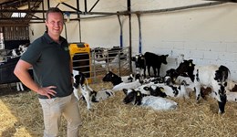 Cheshire: Calf health from the inside out